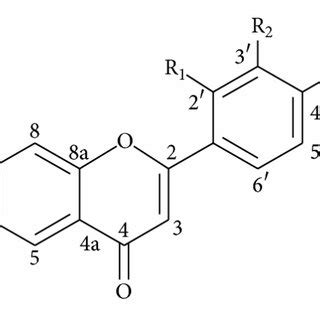 Structure of flavone derivatives. | Download Scientific Diagram