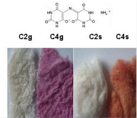 3. Chemical structure of murexide and adsorption tests onto different ...