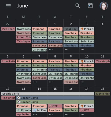 Aesthetic Google Calendar Color Scheme Ideas