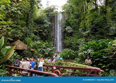 Waterfall Aviary Jurong Bird Park Singapore Editorial Image - Image of ...