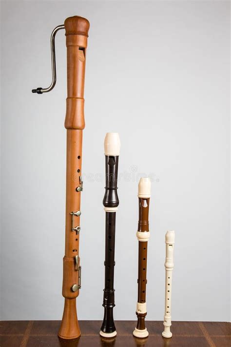 Recorder Family stock photo. Image of recorder, instrument - 37440722