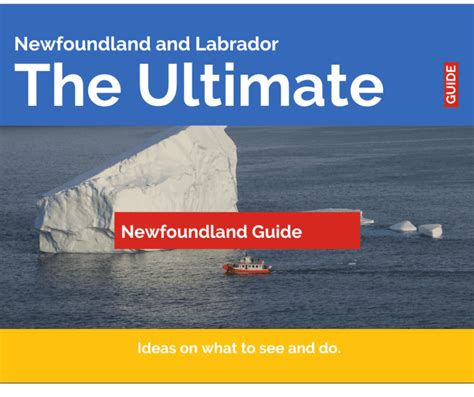 The Best Outdoor Winter Activities in Newfoundland