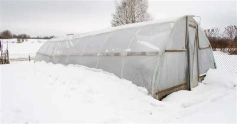 Greenhouse For Winter (heat and grow plants in your greenhouse garden ...