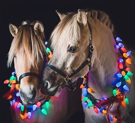 Majestic 25 Best Christmas Horse https://meowlogy.com/2017/11/14/25 ...