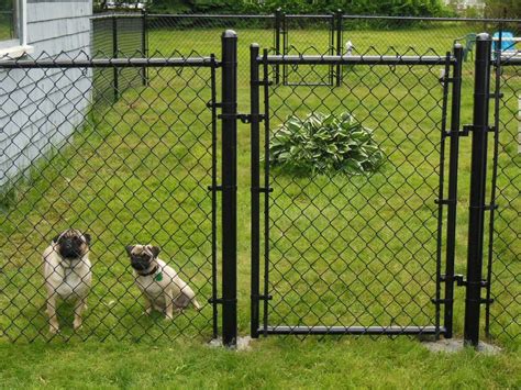 10 Stylish Cheap Fencing Ideas For Dogs 2024