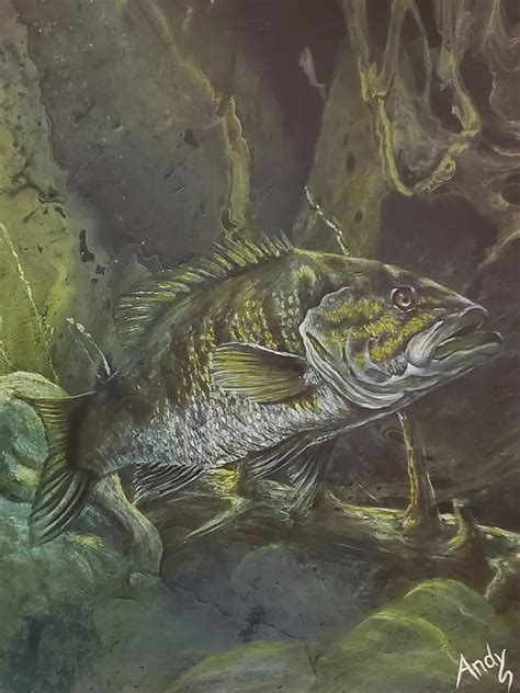 Smallmouth Bass Painting by Andy and Michelle's - Fine Art America