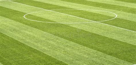 Close Up of Soccer Field Grass Stock Image - Image of fiber, match: 116964943