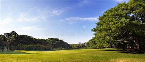 Big Garden panorama stock photo. Image of background - 58513212