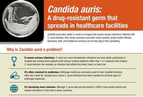 Candida auris outbreak in the Seattle area