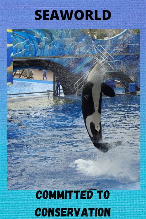 We loved our trip to SeaWorld. I was surprised to learn about their ...