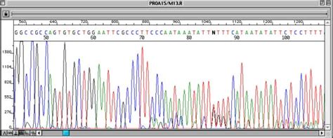 Troubleshooting DNA Sequencing: Evaluating Sanger DNA Sequencing Chromatogram Data | Amplicon ...