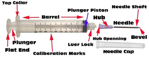 Parts of a Syringe | Nurselk.com