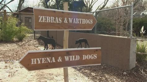 Go outside Saturday and enjoy free admission to Zoo Boise | ktvb.com