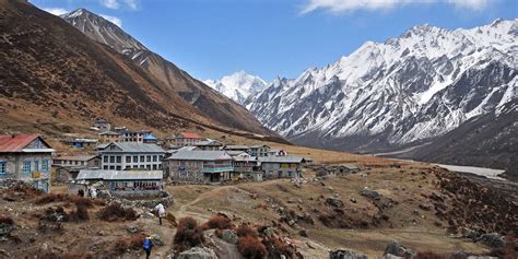 10 Reasons to Go For Langtang Valley Trek - Epic Adventures