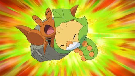 Battling for the Love of Bug-Types! | Pokémon Wiki | Fandom | Bug type ...