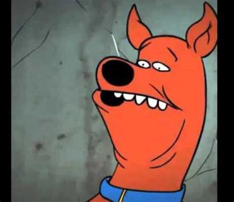 That moment when you realize Scooby’s full name is Scoobert Doo, which means shaggy nick named ...