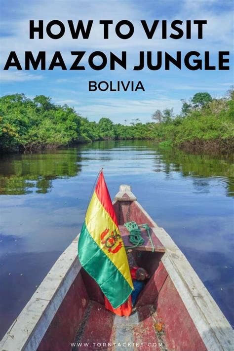 Visiting the Bolivian Amazon Rainforest in 2024: Complete guide