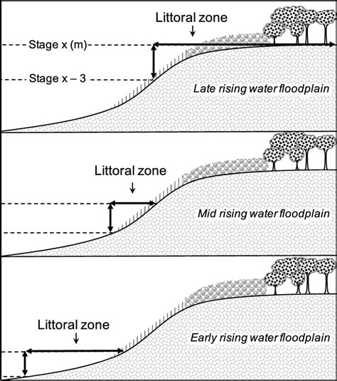 Schematic of the littoral zone (vertically exaggerated) at three points... | Download Scientific ...