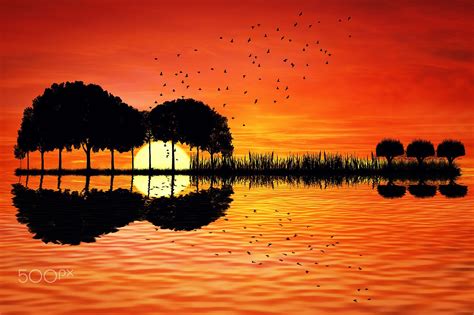 Trees arranged in a shape of a guitar on a sunset background. Music ...