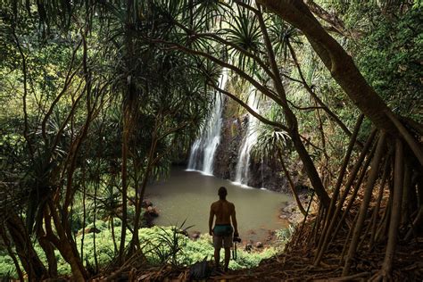 Opaekaa Falls Hike On Kauai, Hawaii (Closed)