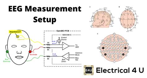 EEG Measurement Setup (Lead and Electrode Setup) | Electrical4U