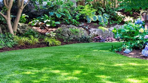 Why You Should Go for a Natural Garden - BUILD Magazine