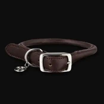 Best Rolled Leather Dog Collar: Top 6 Options with Pros & Cons