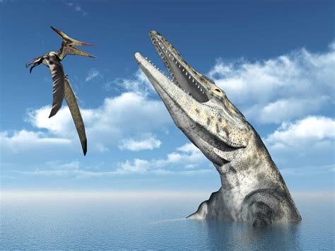 Tylosaurus - A-Z Animals