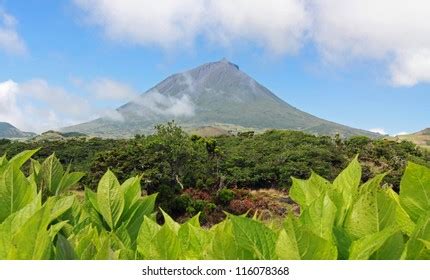 Volcano Mount Pico Pico Island Azores Stock Photo 116078368 | Shutterstock