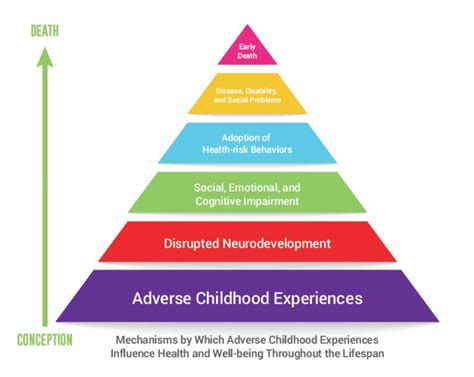 What Does "Trauma-Informed" Mean? - Trauma Basics with ChildSavers