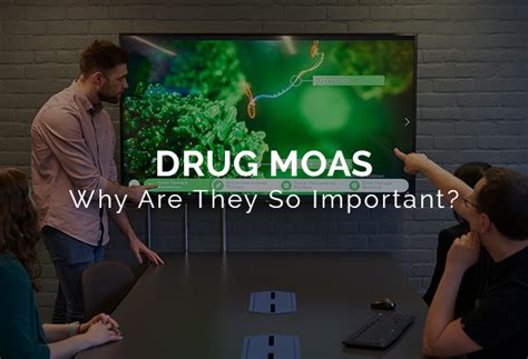 What Are Drug MoA Animations & Why Are They So Important?