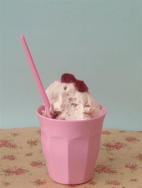 Helado de yogurt y frutas - Nutreduca