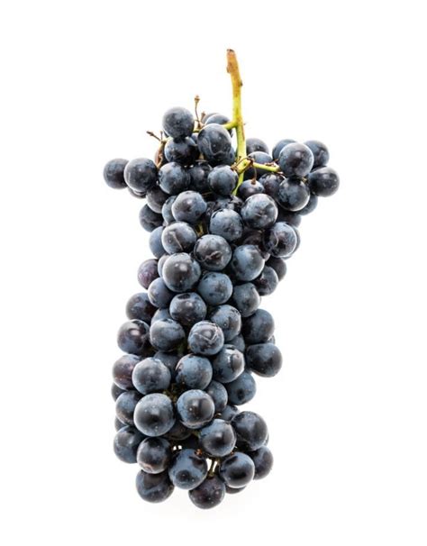 Cabernet Franc Wine Grape – Pardo Wine