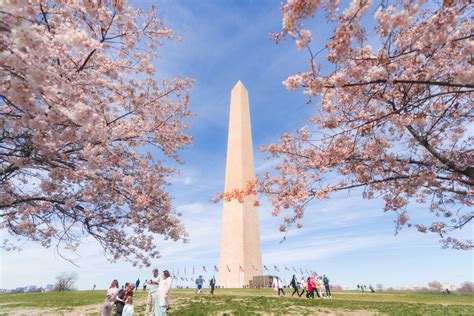 Must-See Washington, DC Events & Festivals | Washington DC