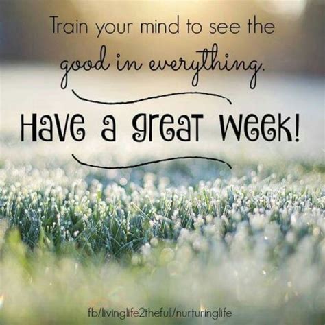 grass with the words, train your mind to see the good in everything have a great week