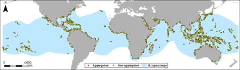 Does bathymetry drive coastal whale shark (Rhincodon typus) aggregations? [PeerJ]
