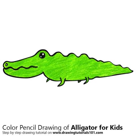 How to Draw an Alligator for Kids (Animals for Kids) Step by Step | DrawingTutorials101.com