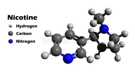 Nicotine 3D Structure Stock Illustration - Image: 47941523