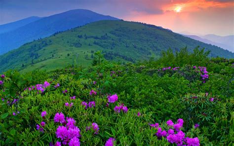 Green Mountains, Vermont : r/pics