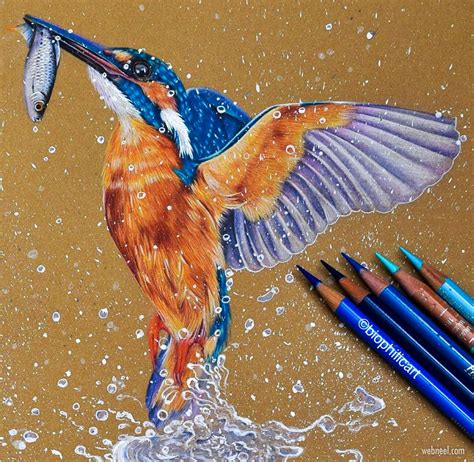 Share 100+ kingfisher drawing with colour - seven.edu.vn