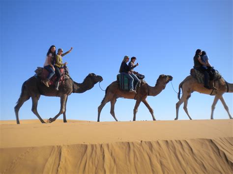 Travel by Camel in the Desert – Sahara Desert, Morocco – World Tag