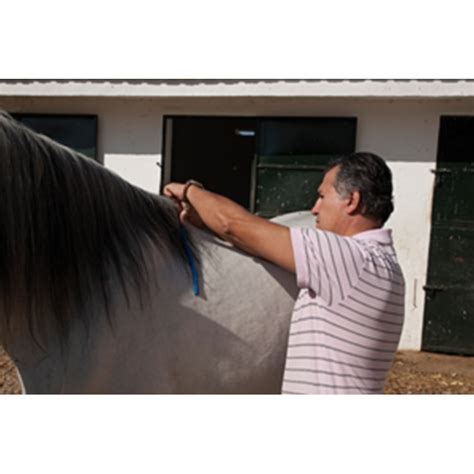 Horse withers measurement for saddle MARJOMAN