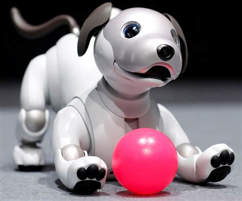 Sony's autonomous robot dog gets updated, learns a few new tricks ...