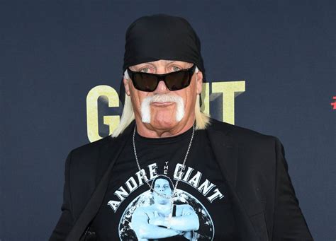 Hulk Hogan came to the rescue after a car crash in Florida. He used a ...