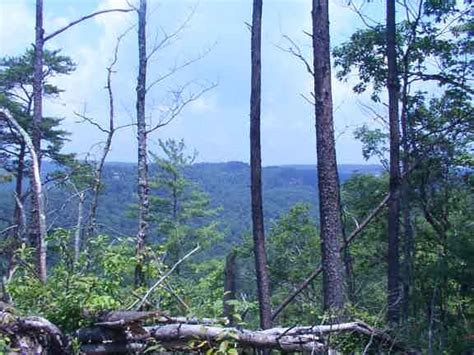 Red River Gorge Natural Bridge State Park 124 Hiking Pictures In Order