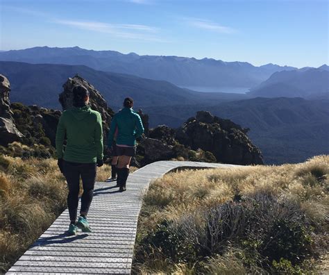 Hump Ridge Track Photos | Hiking NZ