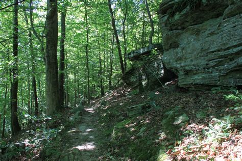 Buffalo River Trail: Steel Creek to Steel Creek Overlook – 3 mi (o&b) | Arklahoma Hiker