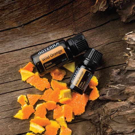 Wild Orange Oil Uses and Benefits | doTERRA Essential Oils | doTERRA Essential Oils