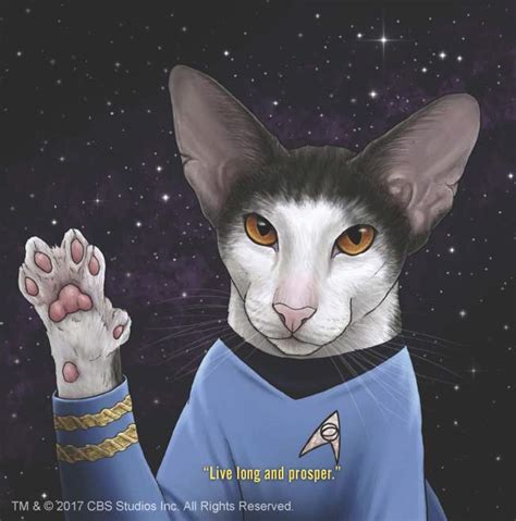 Star Trek Cats Star in Bold New Book | The Mary Sue