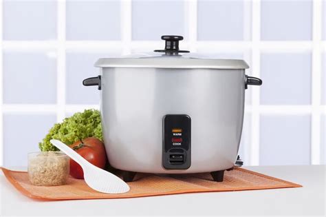 Top 10 Best Rice Cooker Brands of 2023